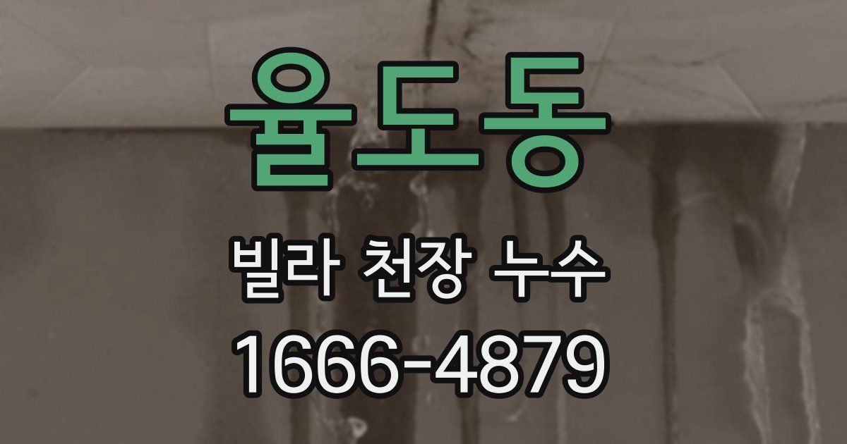 율도동 빌라 천장 누수