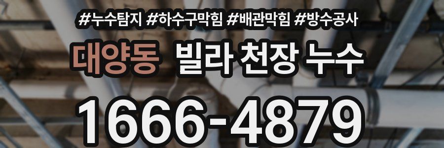 대양동 빌라 천장 누수
