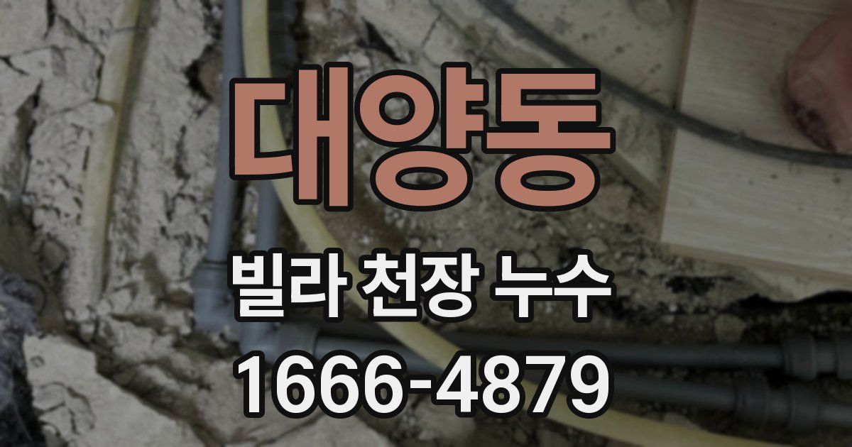 대양동 빌라 천장 누수