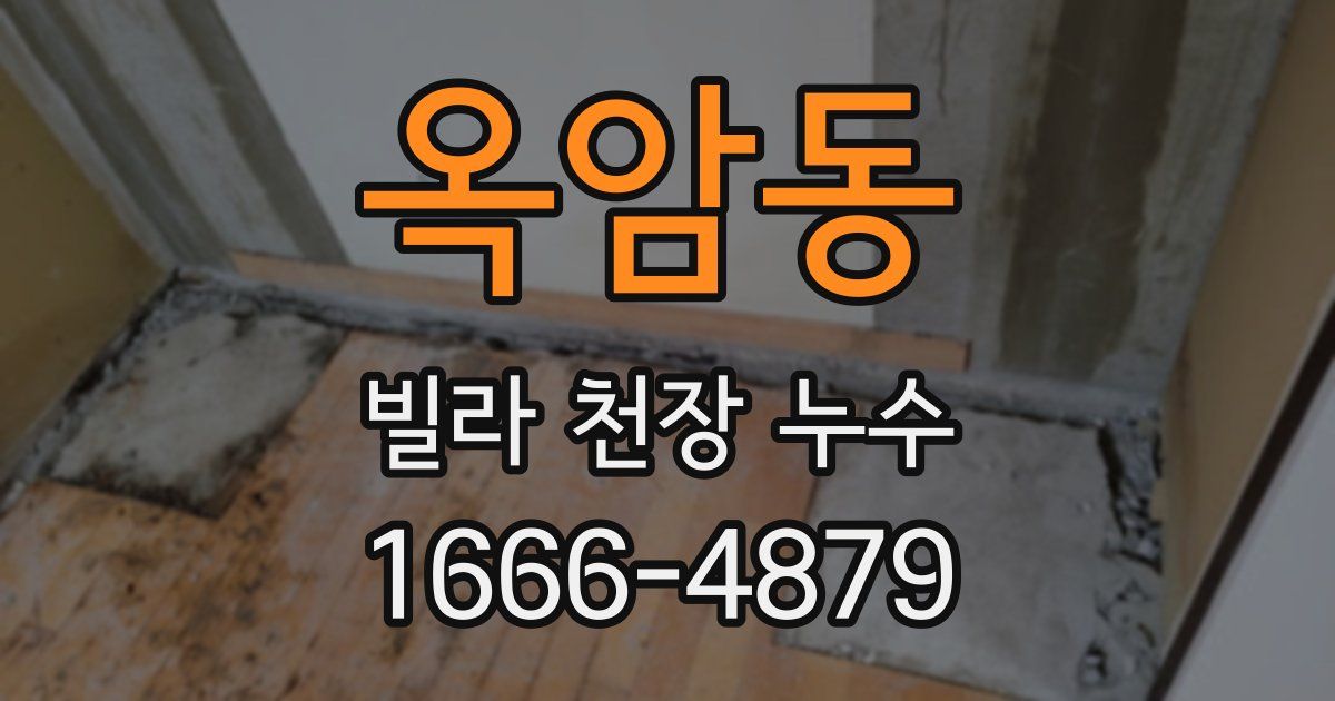 옥암동 빌라 천장 누수