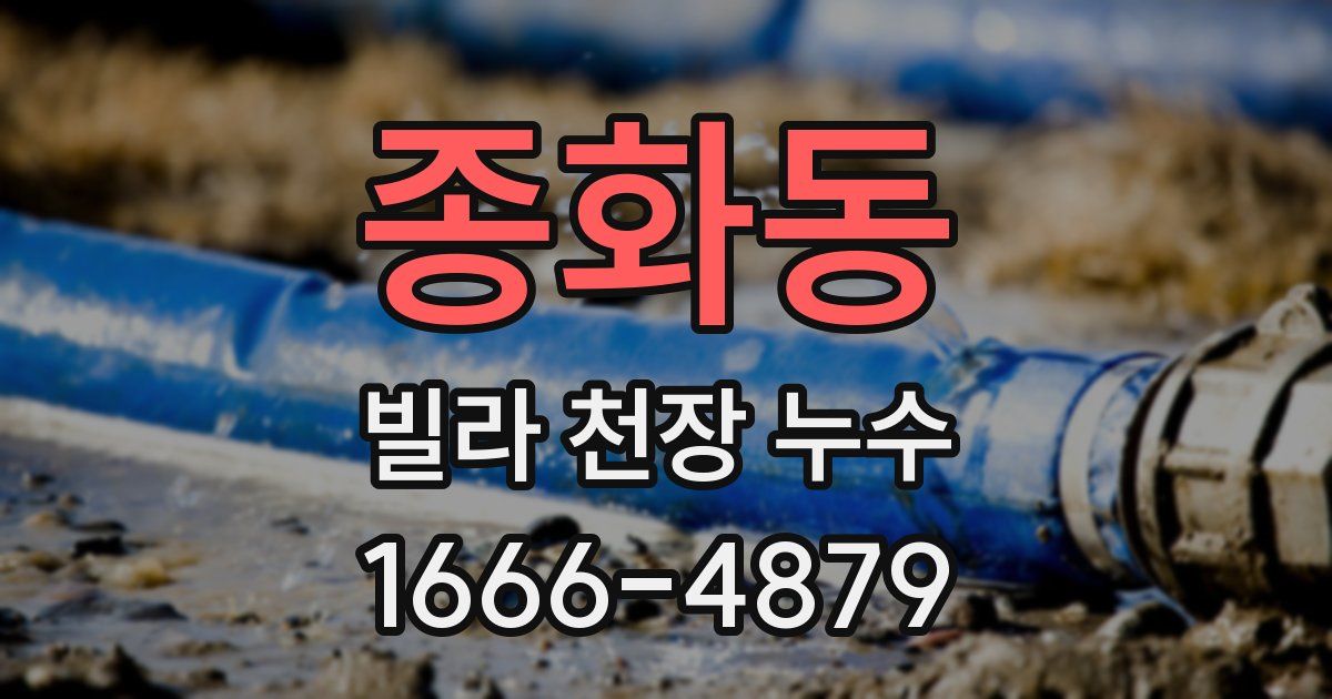 종화동 빌라 천장 누수