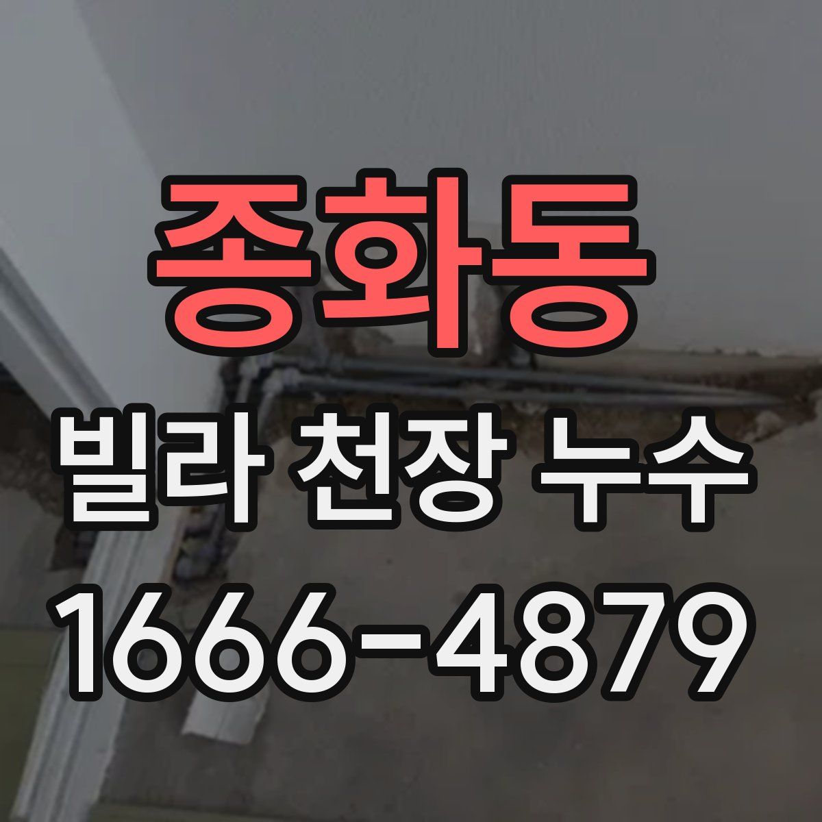 종화동 빌라 천장 누수