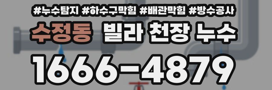 수정동 빌라 천장 누수