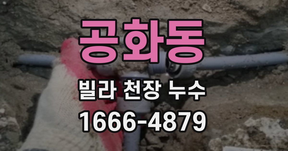 공화동 빌라 천장 누수