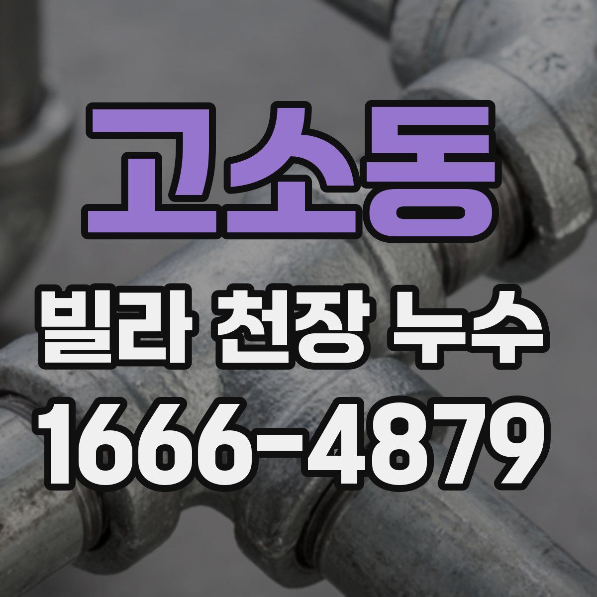 고소동 빌라 천장 누수