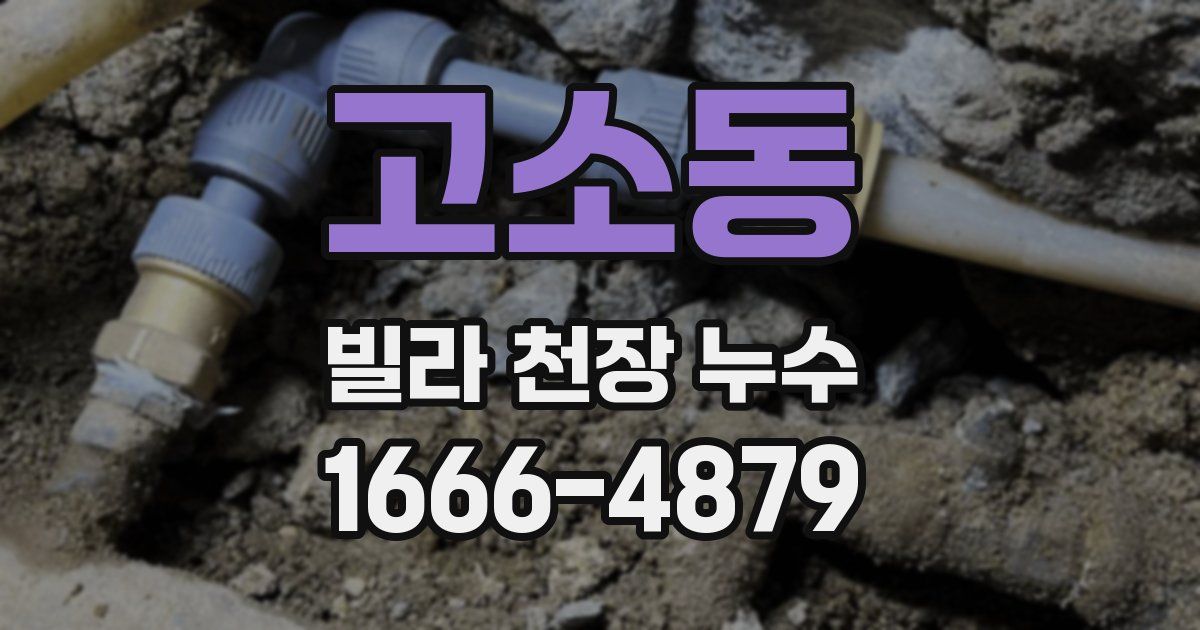 고소동 빌라 천장 누수