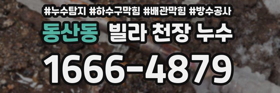 동산동 빌라 천장 누수