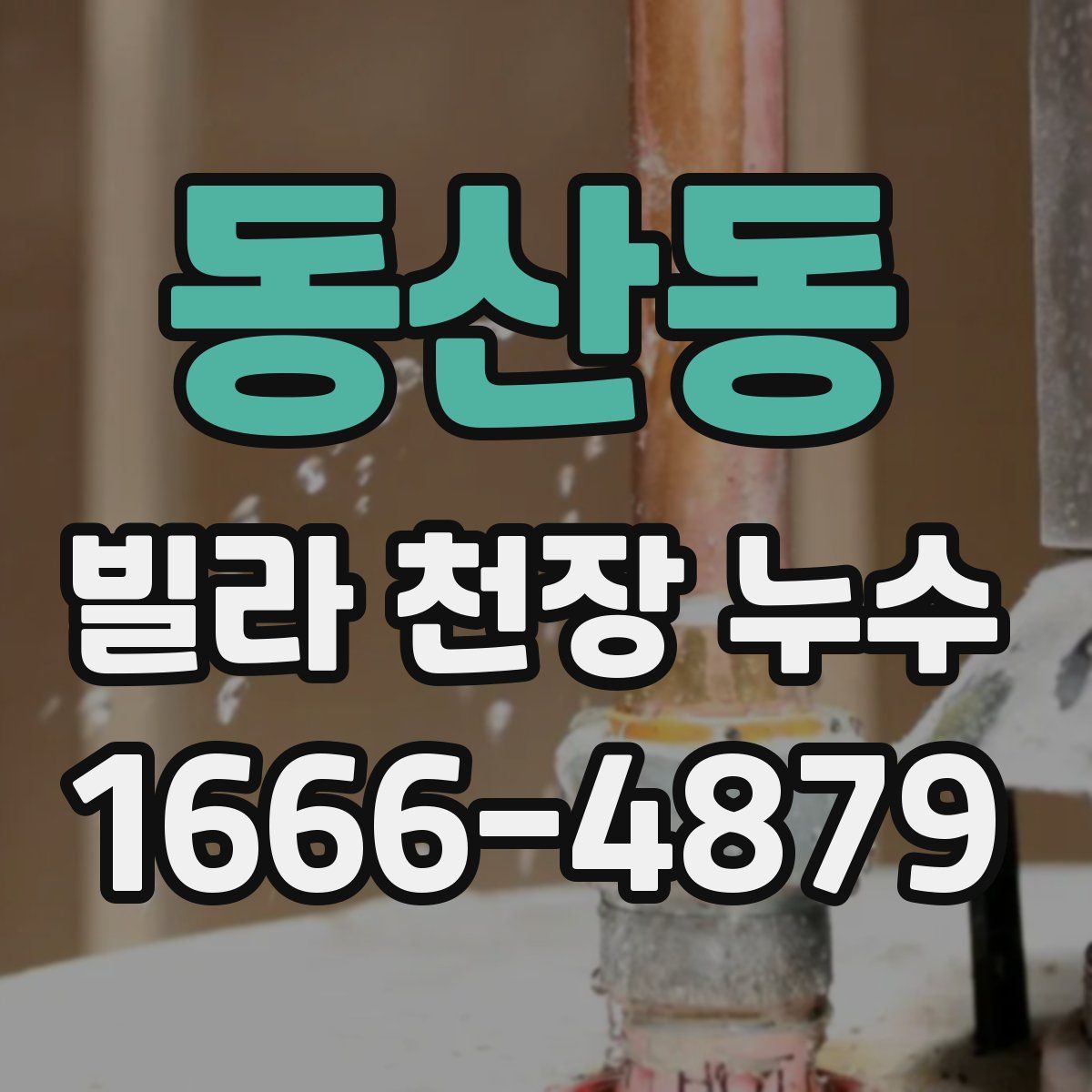 동산동 빌라 천장 누수