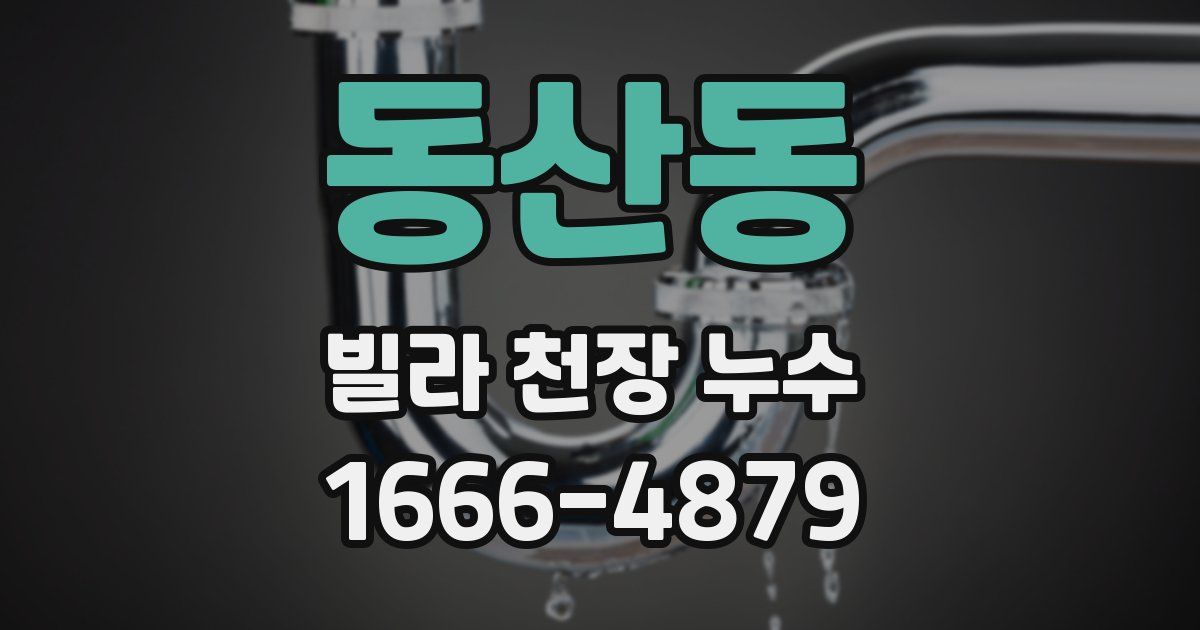 동산동 빌라 천장 누수