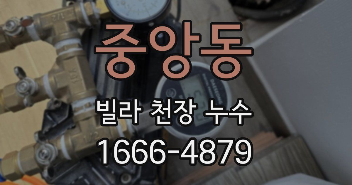 중앙동 빌라 천장 누수
