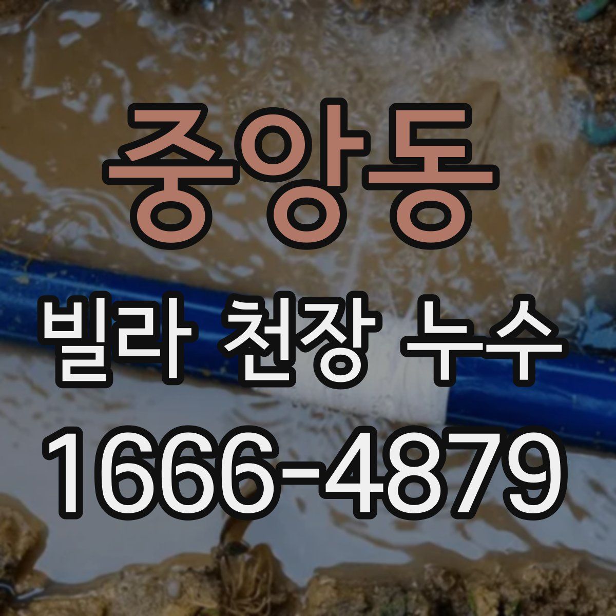 중앙동 빌라 천장 누수