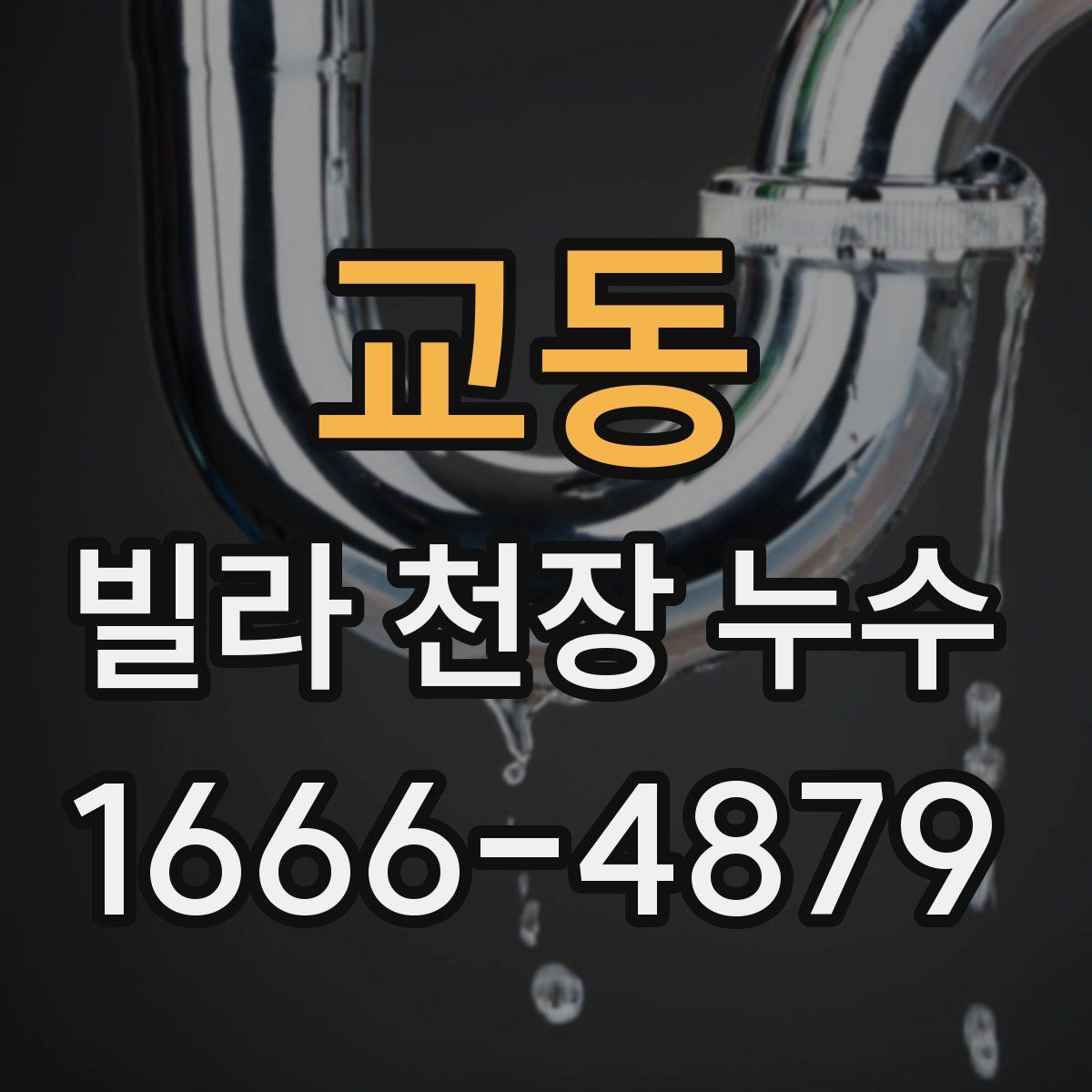 교동 빌라 천장 누수
