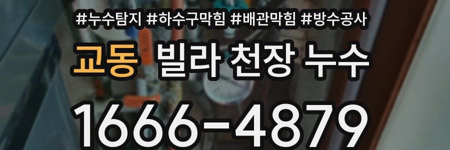 교동 빌라 천장 누수