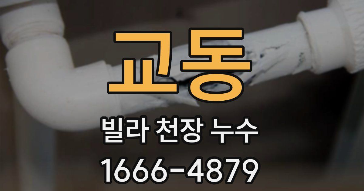 교동 빌라 천장 누수