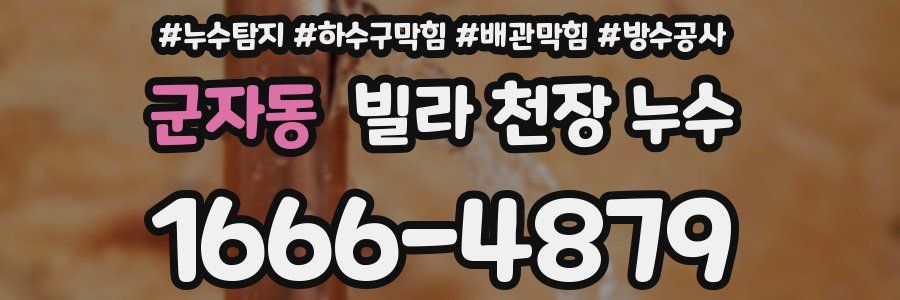 군자동 빌라 천장 누수