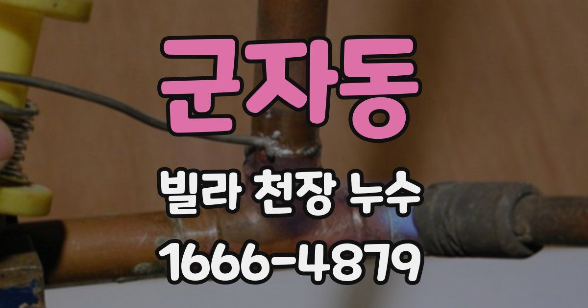 군자동 빌라 천장 누수
