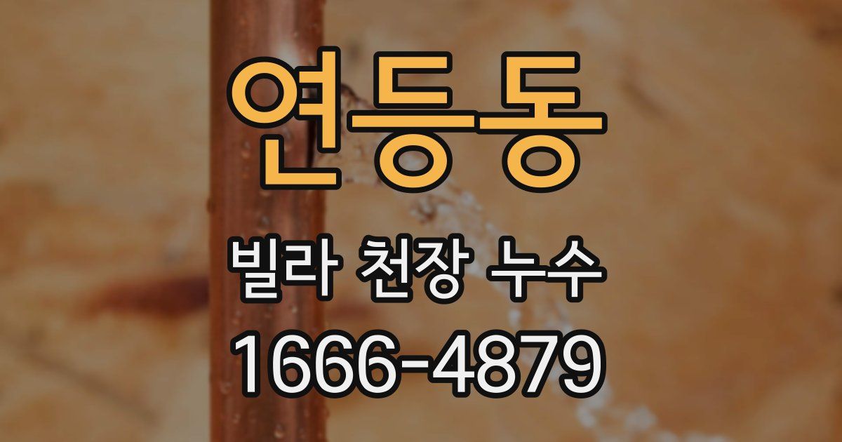 연등동 빌라 천장 누수