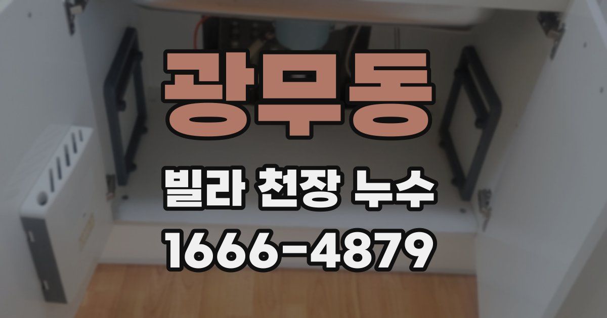 광무동 빌라 천장 누수