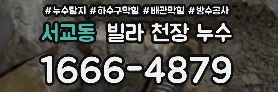 서교동 빌라 천장 누수