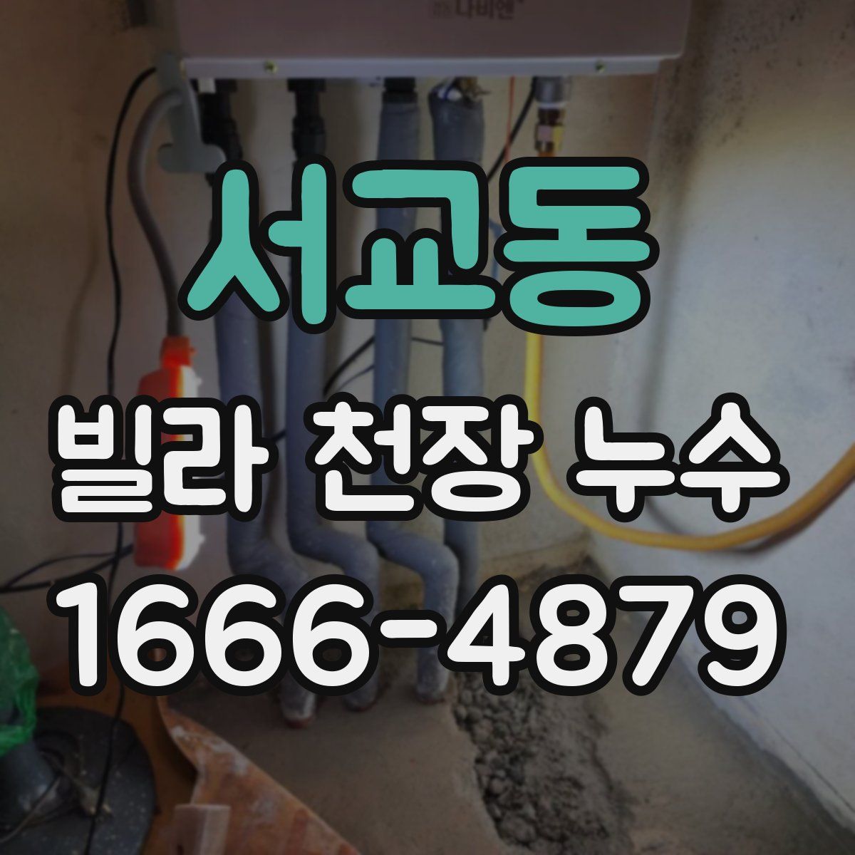 서교동 빌라 천장 누수
