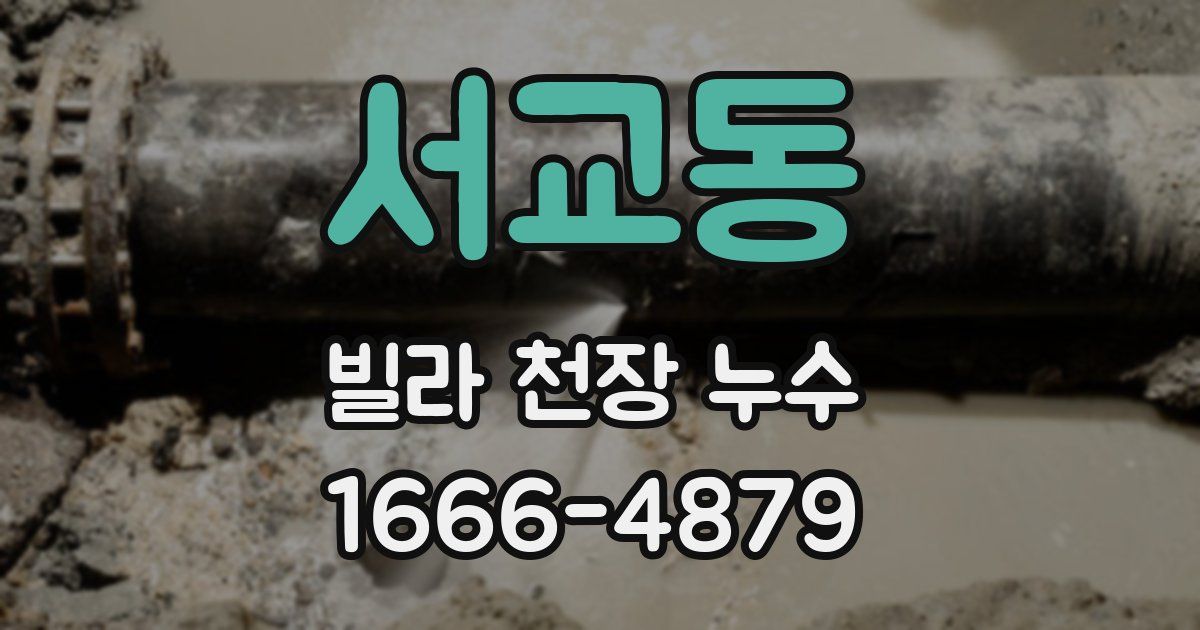 서교동 빌라 천장 누수