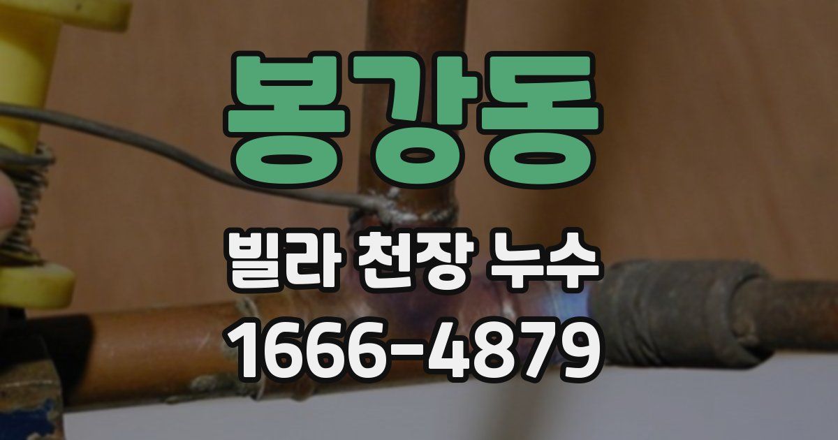 봉강동 빌라 천장 누수