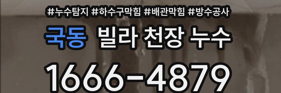 국동 빌라 천장 누수