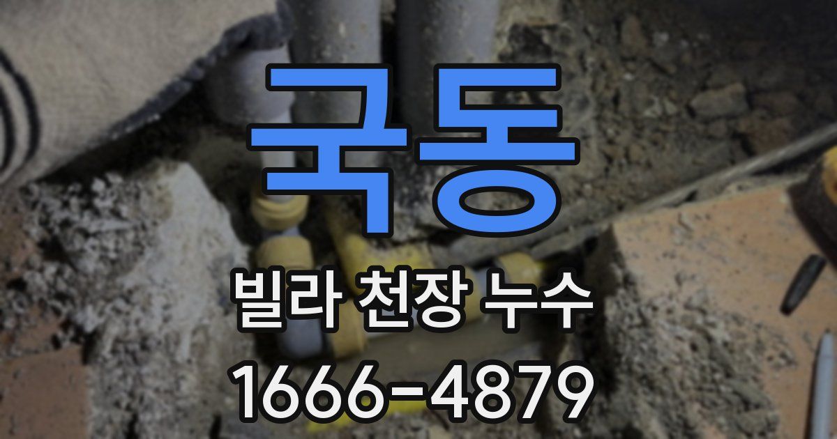 국동 빌라 천장 누수