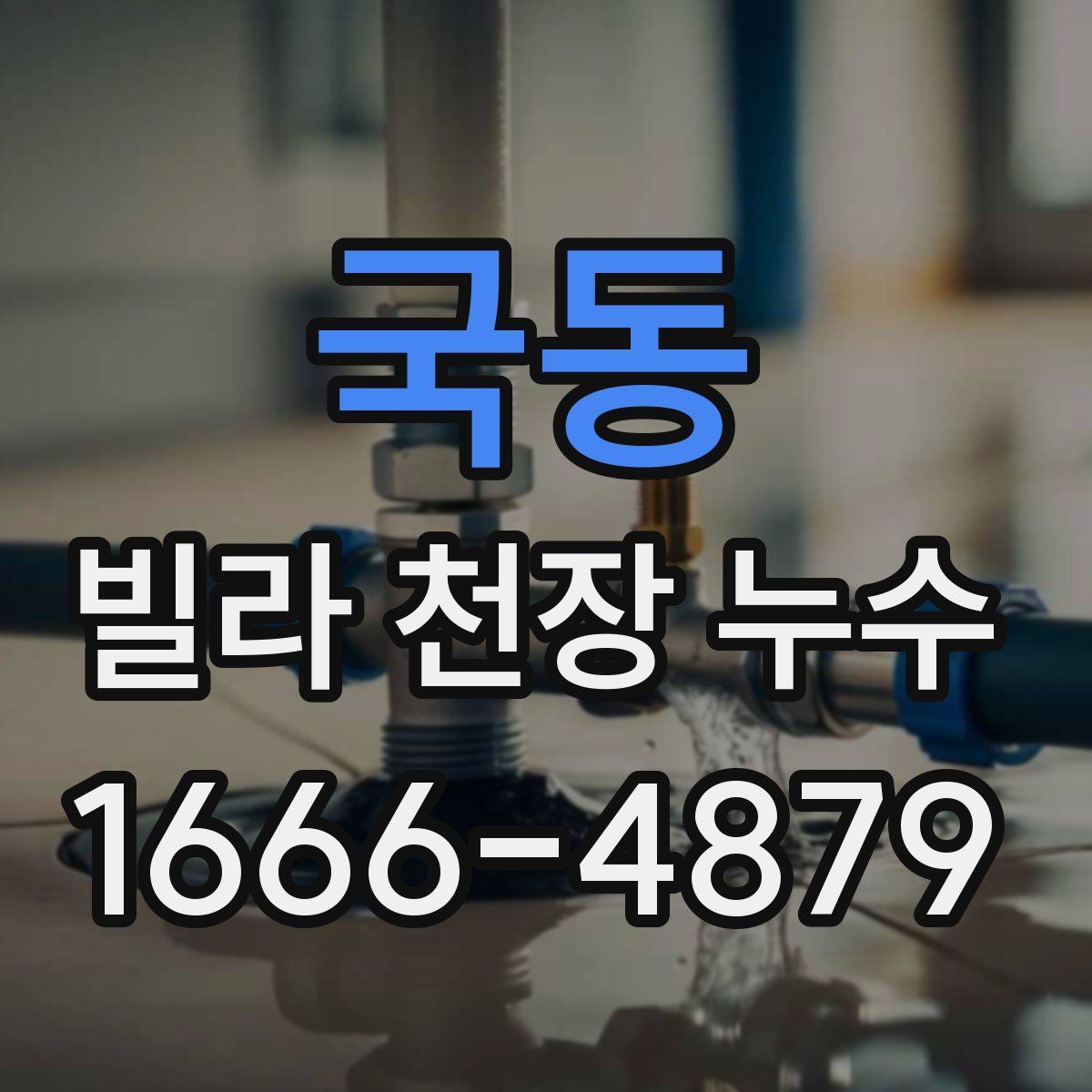 국동 빌라 천장 누수