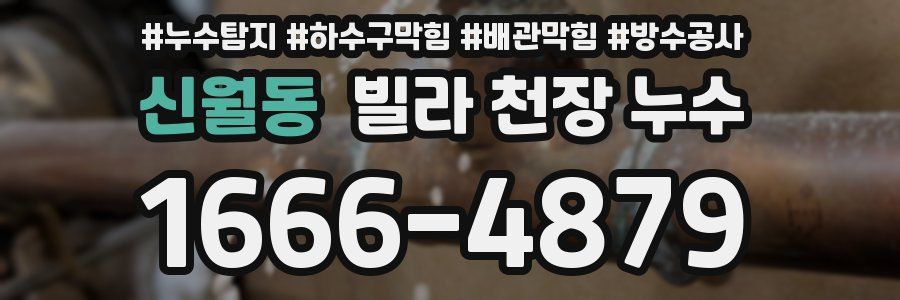 신월동 빌라 천장 누수