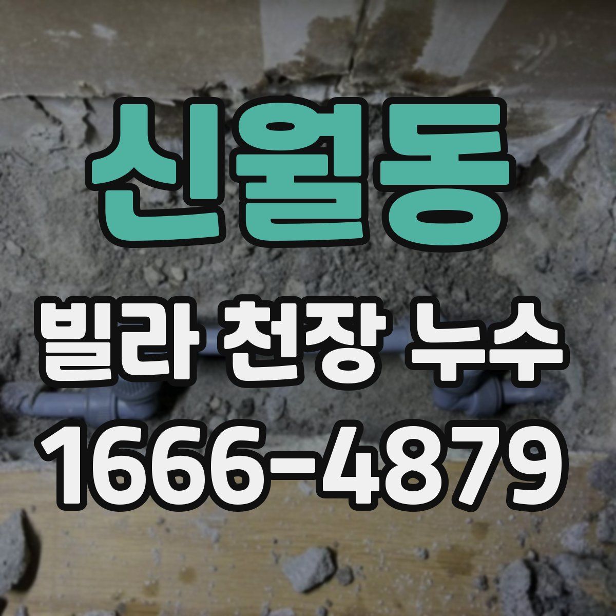 신월동 빌라 천장 누수