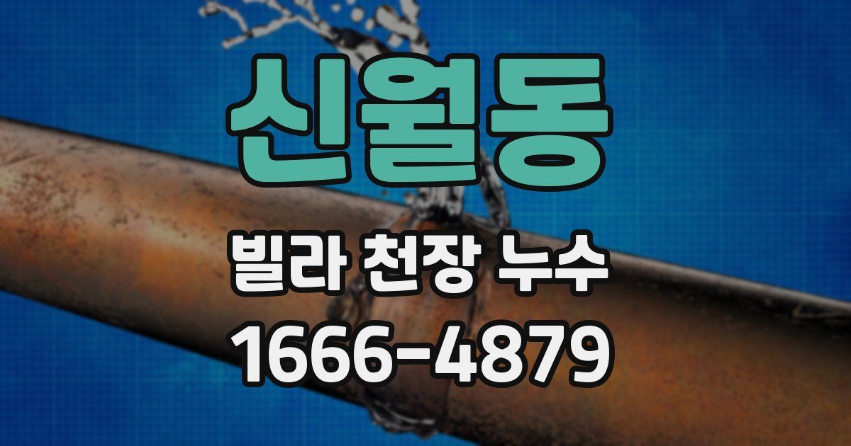 신월동 빌라 천장 누수