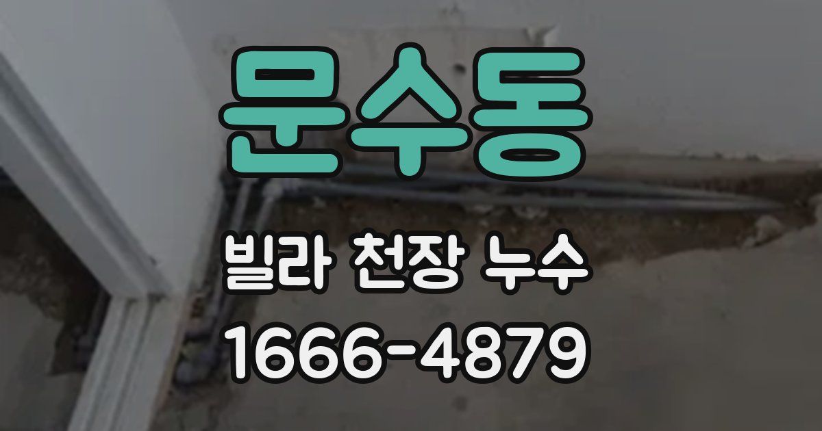 문수동 빌라 천장 누수