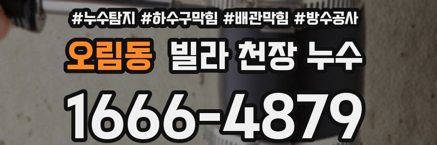 오림동 빌라 천장 누수