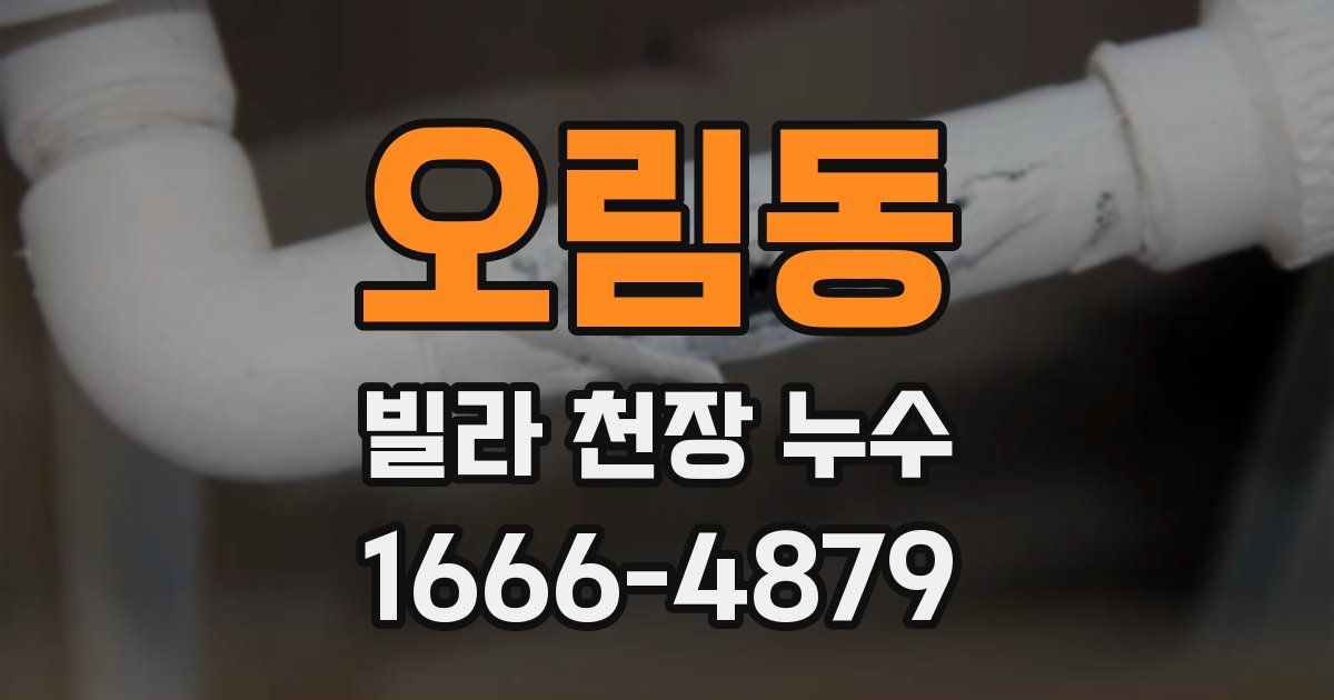 오림동 빌라 천장 누수