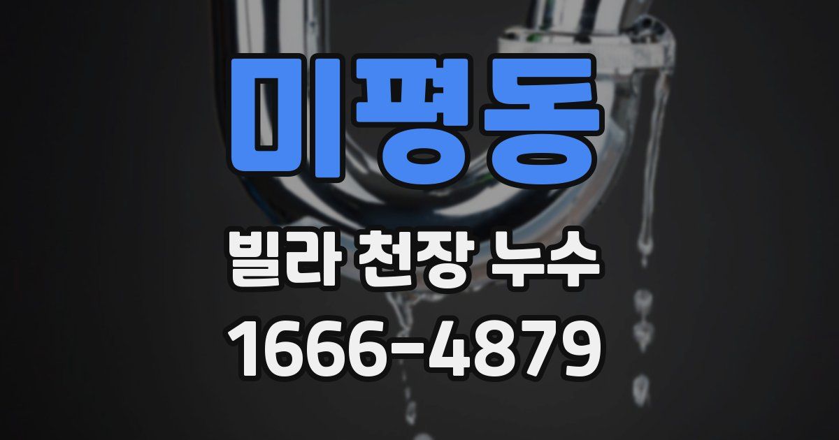 미평동 빌라 천장 누수