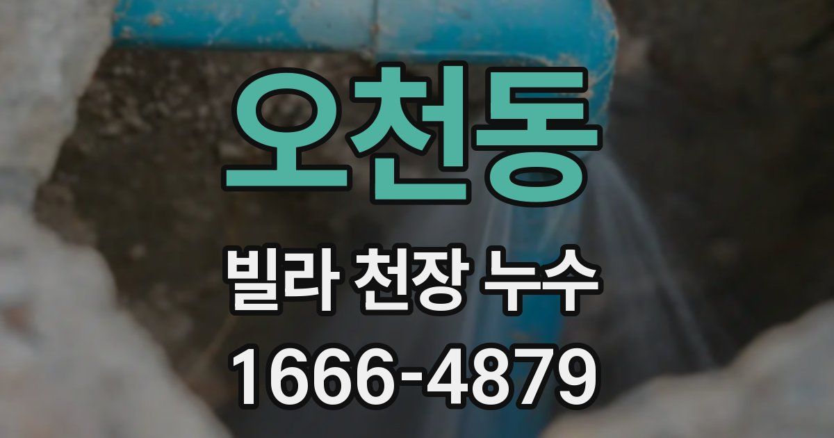 오천동 빌라 천장 누수