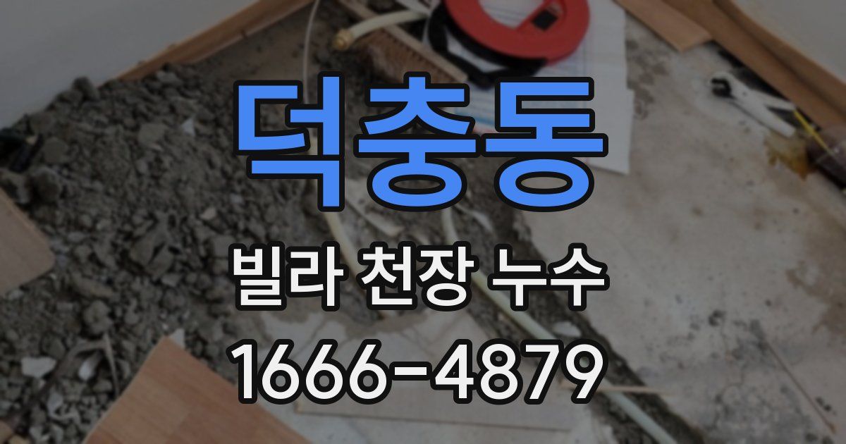 덕충동 빌라 천장 누수