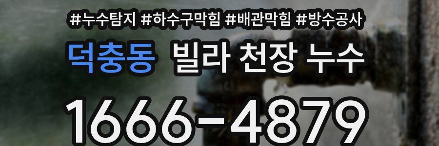 덕충동 빌라 천장 누수