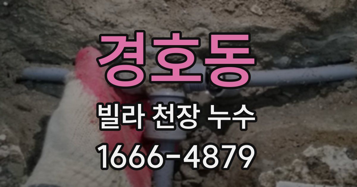 경호동 빌라 천장 누수