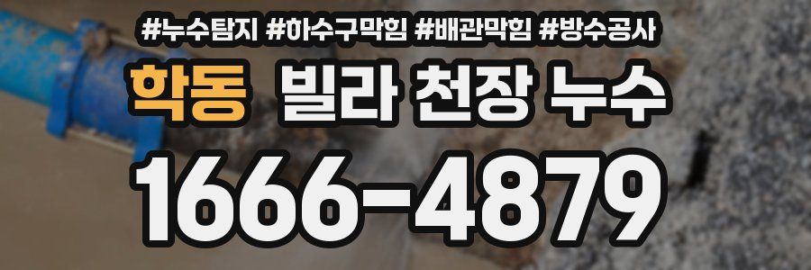 학동 빌라 천장 누수