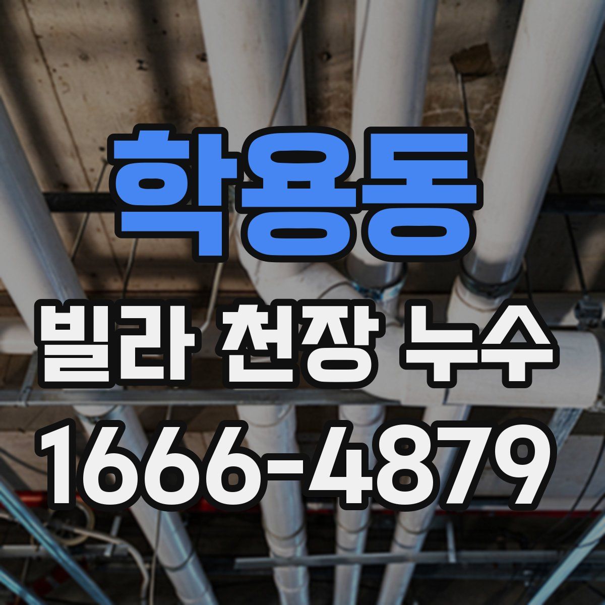 학용동 빌라 천장 누수