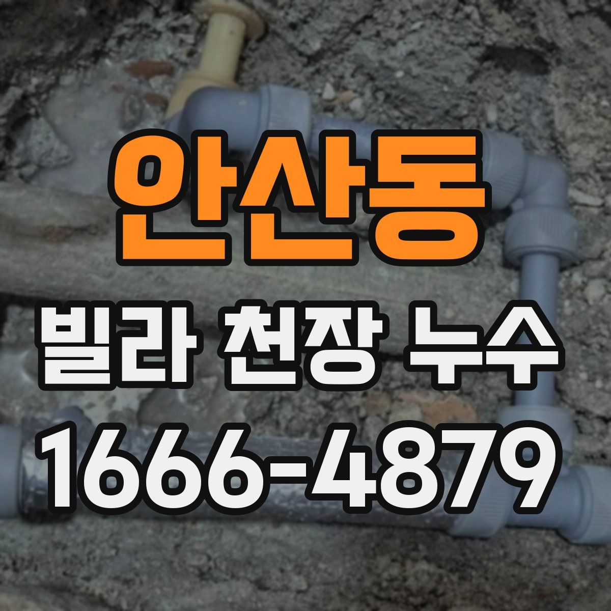 안산동 빌라 천장 누수