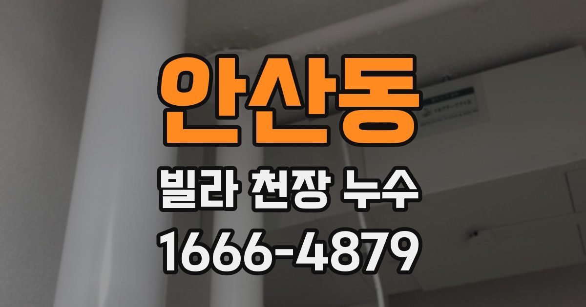 안산동 빌라 천장 누수