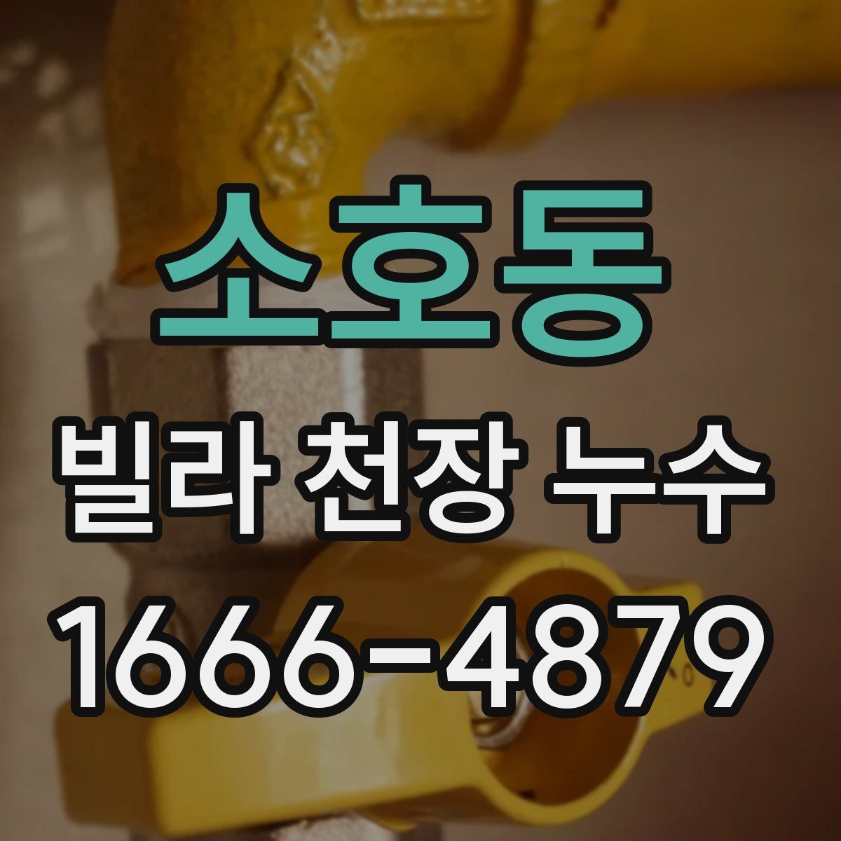 소호동 빌라 천장 누수