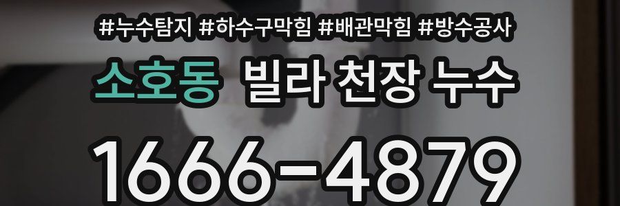 소호동 빌라 천장 누수