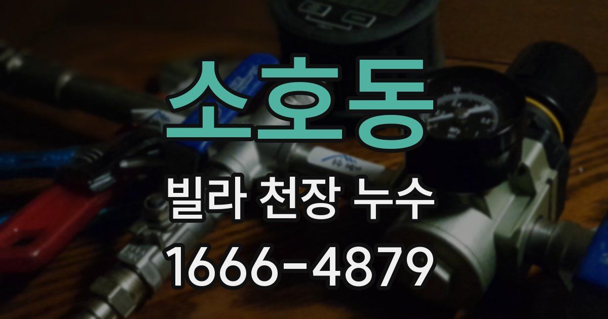 소호동 빌라 천장 누수