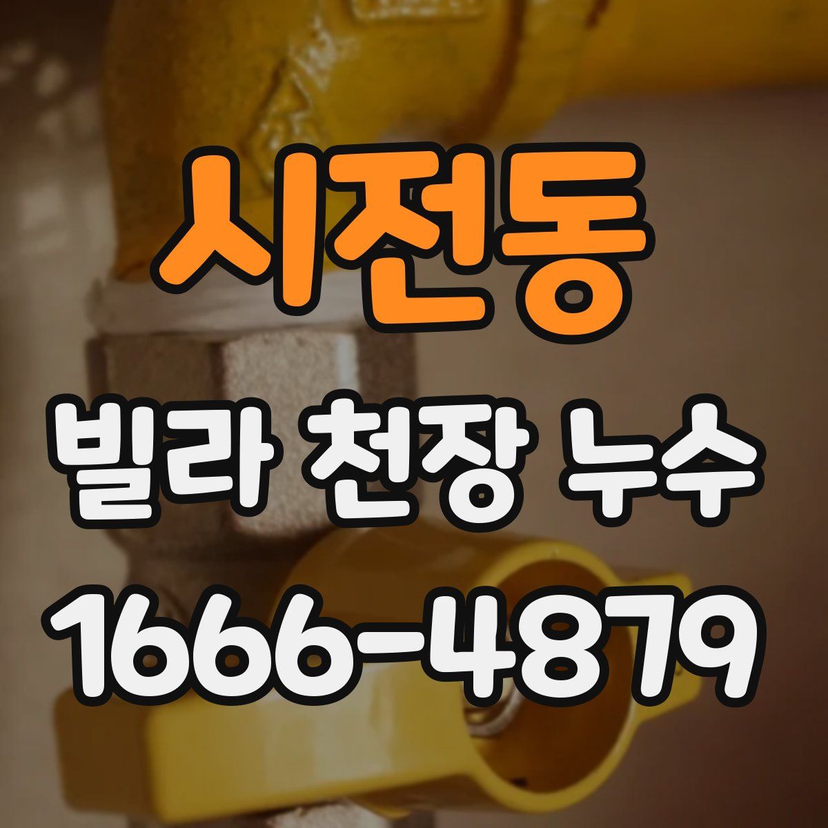시전동 빌라 천장 누수