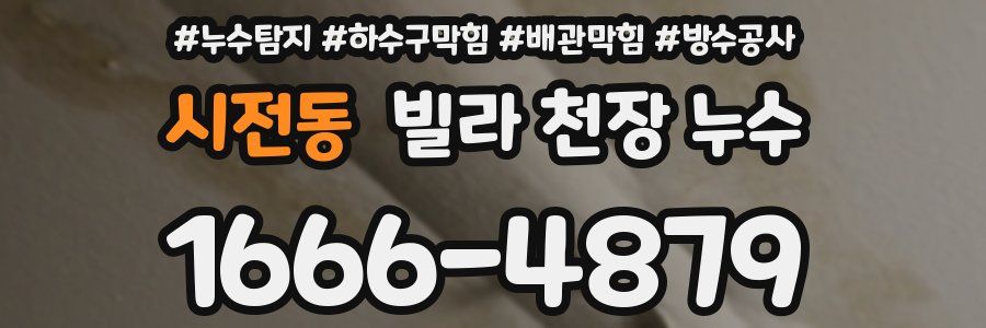 시전동 빌라 천장 누수