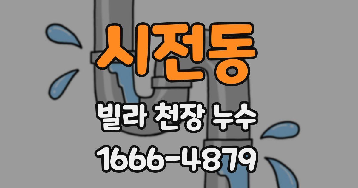 시전동 빌라 천장 누수